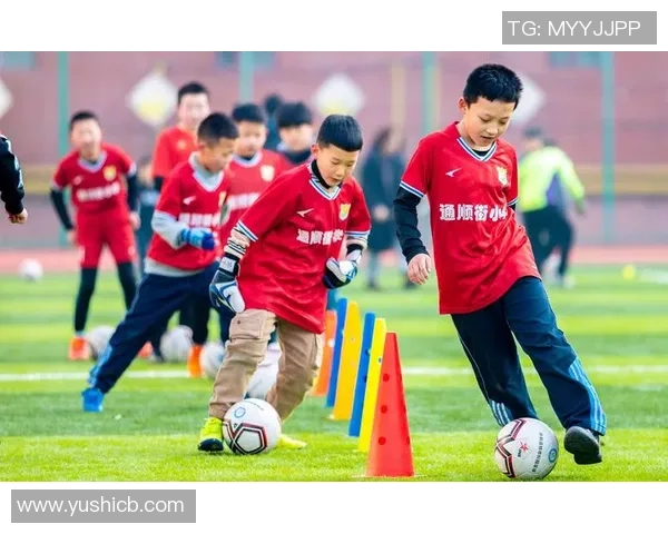 中国球星畅谈中国足球现状与未来发展 见解与思考结合分享