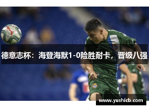 德意志杯：海登海默1-0险胜耐卡，晋级八强